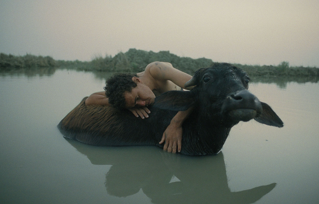 17TH ALFILM: SHORTS 3 - WORLDS BEYOND REPAIR